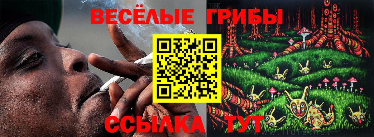Псилоцибиновые грибы Cubensis  Вход с VPN  Курган  Галлюциногенные грибы Magic Shrooms 
